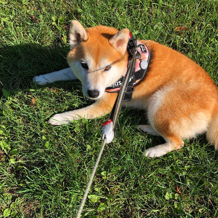 Be4c0b2c 3ea6 4945 846e 3498561a8d5d 1568347603576