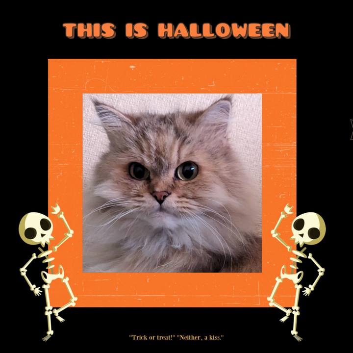 Be4c9c34 e5ad 4fea b317 75ea91686267 1698072147247