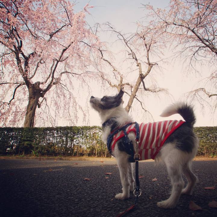 Be4c9e47 0e8a 409c 84f2 0e980605d64a 1553515790435