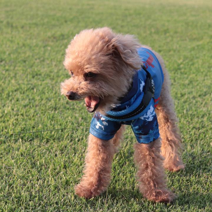 Be4ca783 a361 4cef a38b cff23561fac1 1627472338943