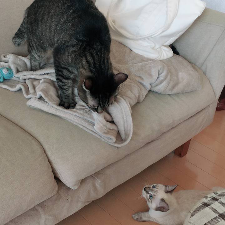 Be4cbe26 1a2d 412b ae3f 044a7940abfa 1538102549419