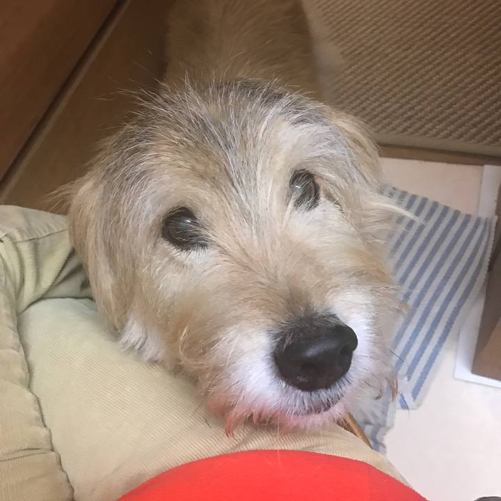 Be4cccb3 e2e9 40d4 8e9a 6ee394e7ac1a 1677331136024