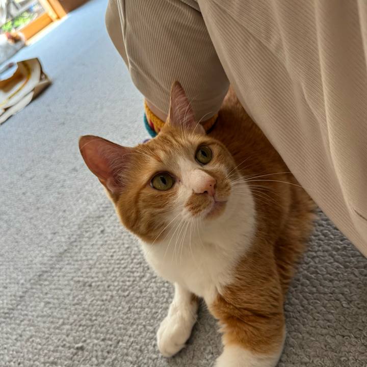 Be4ced06 5b80 40d9 a1f6 49180d96ab0a 1776220380165