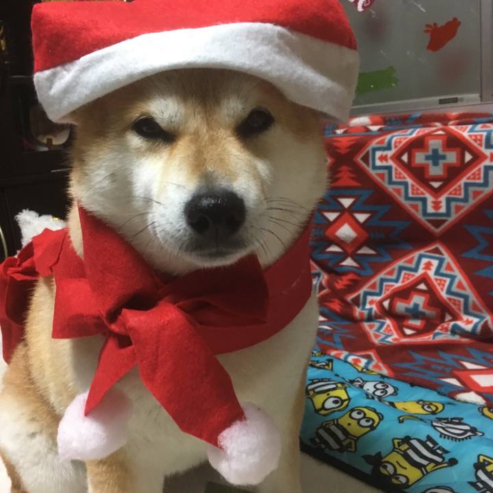 Be4cf346 5349 46b3 b46d 5eb753babf92 1545554377867