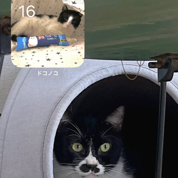 Be4d0f8a 73ae 41c4 90fa 825de864a036 1673879830212