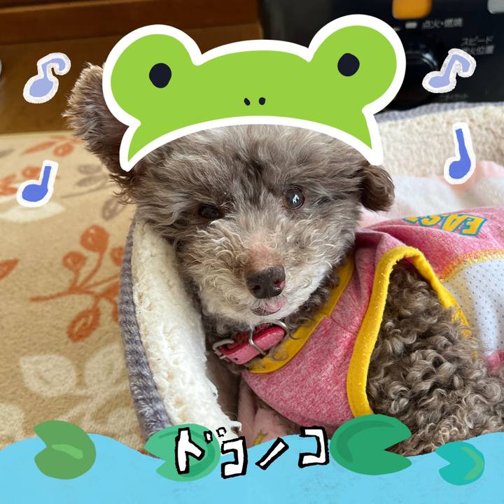 Be4d27f8 373b 4301 a196 ac592f161675 1717570746411