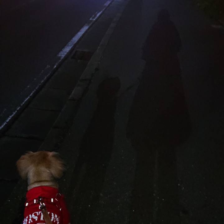 Be4d4f37 38f8 4c68 a995 494b43cdf896 1579178311364