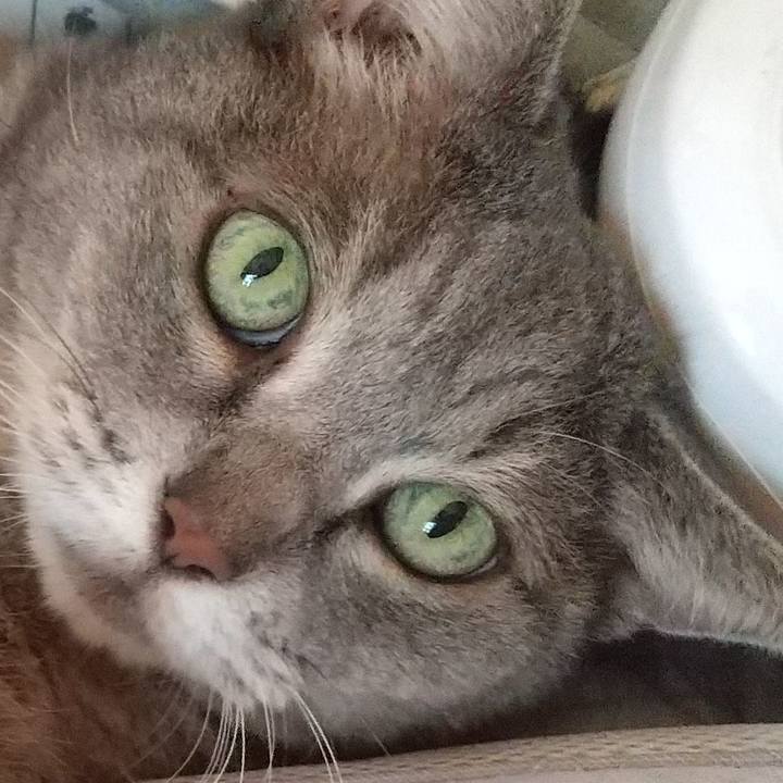 Be4d6527 7f6d 426c 847b d6c50173994b 1633139937430