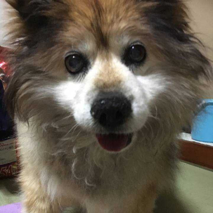 Be4d8d4f 33bf 4884 9854 bd7b4b6343a4 1640676352137