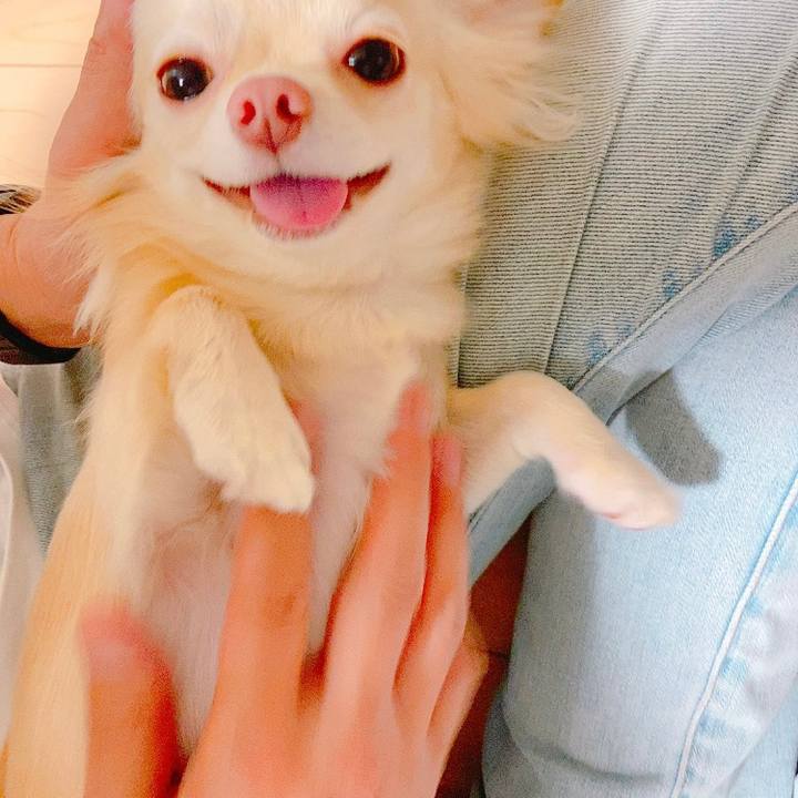 Be4d9949 73e1 4520 a4e6 4d6c9e38d500 1624934094256