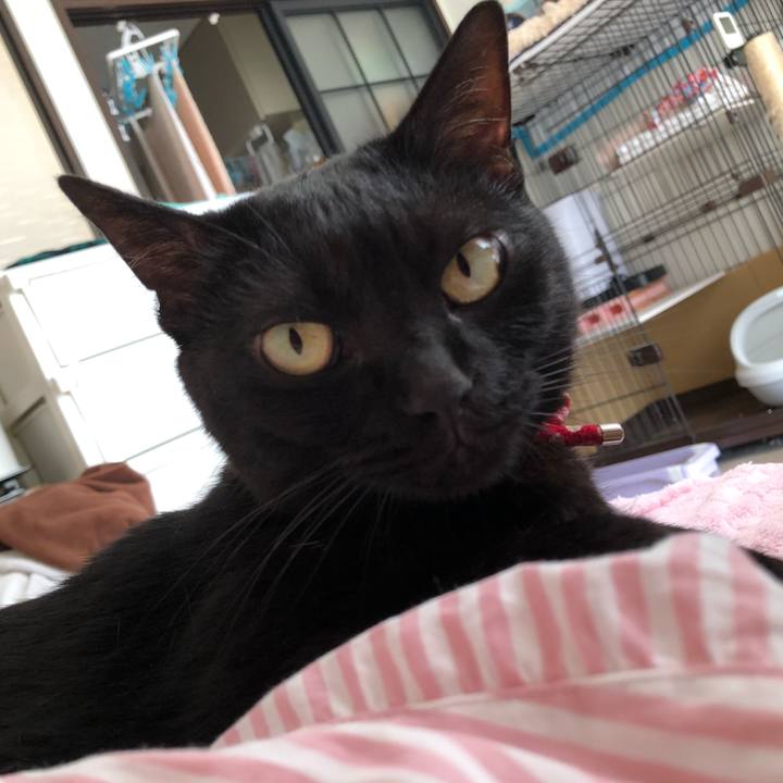 Be4dab7a dee8 4847 a25c 1c34f3e18b20 1627173806921