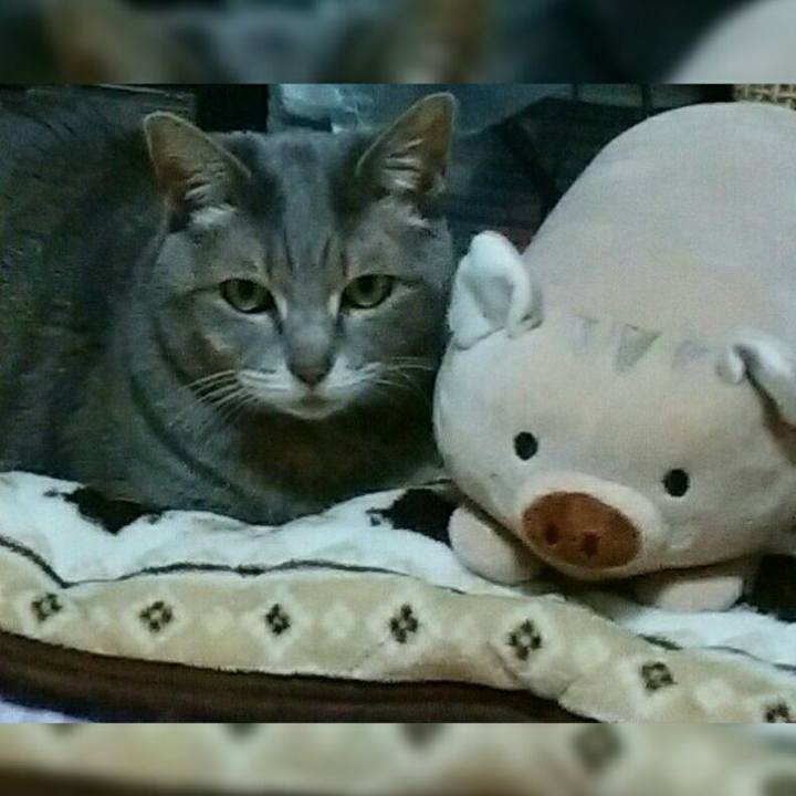 Be4dbb4b 05be 4408 b8fc f1e488f23ee9 1579263483990