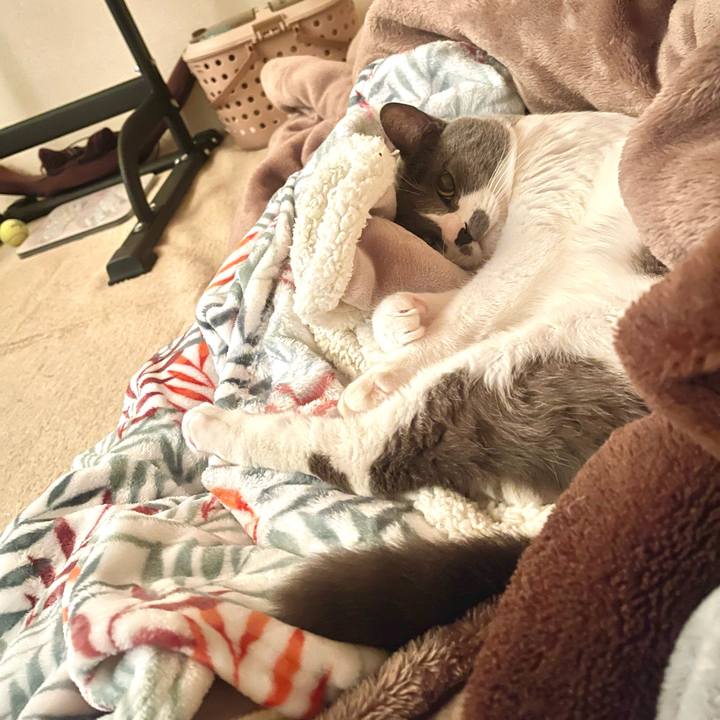 Be4dbfa3 7c48 4013 9a83 6ad3ecc2ccf3 1703631645809