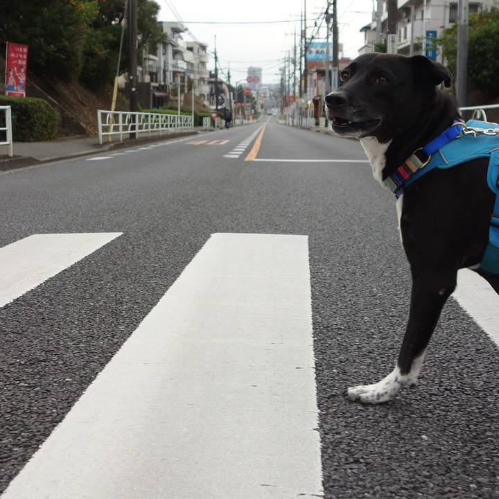 Be4dc181 a7f2 4e37 b520 d903e41f5ab9 1635641263029