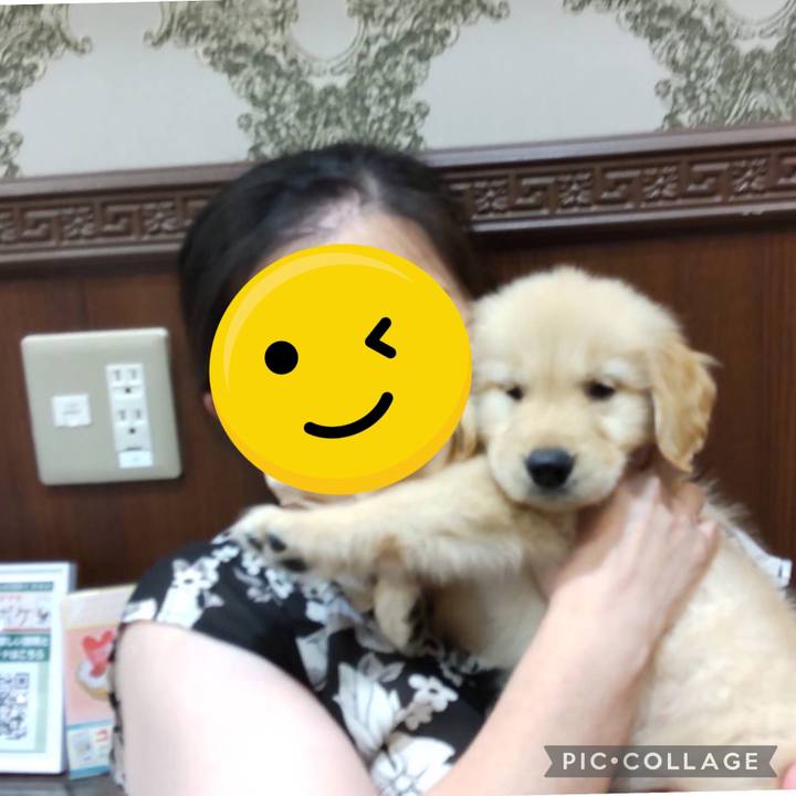 Be4dee75 cc78 400d 928e def22bbf58fc 1660165908693