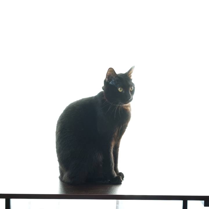 Be4df039 78f5 4468 9c41 bb2572a22cd9 1511304757774