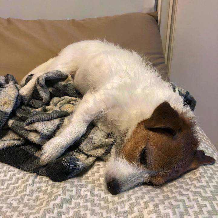 Be4e8c59 175f 41cc 8674 6f1b982d1708 1618137026815