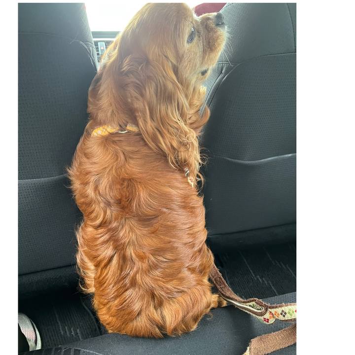 Be4e91f2 7c3d 4331 bd89 6556a7522abc 1746833540966