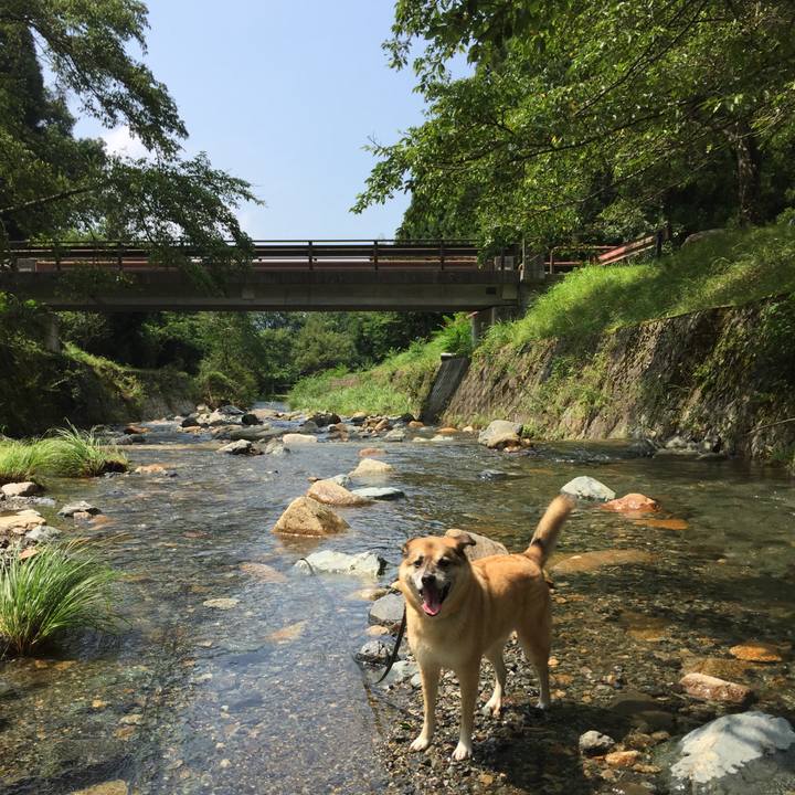 Be4e96fd fbfd 4cd5 af76 39a7723342a9 1566110514437