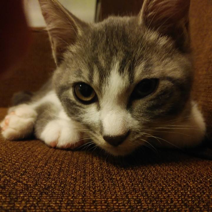 Be4eb462 4258 4c83 9fa0 16ce2fb5eba3 1564668706482