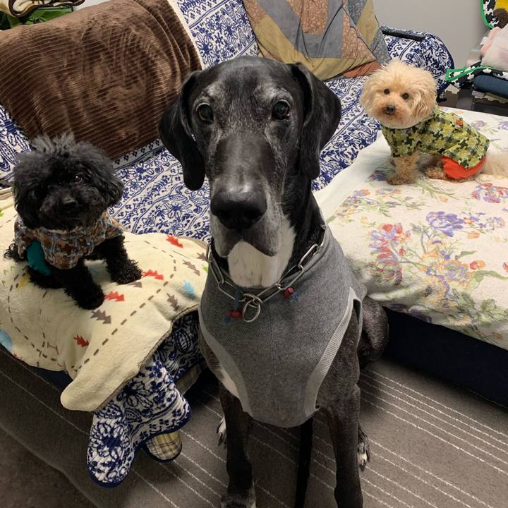 Be4ec3e1 55f4 41e6 ab05 00820c678e96 1585262822159