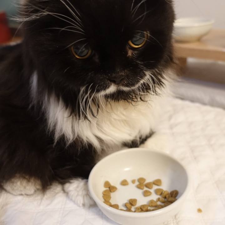 Be4ecc4c dbd2 40c4 a76b 261d4a57af14 1577784888785