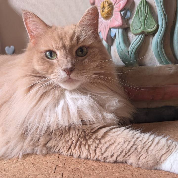 Be4ef804 00ba 4488 887d 117d19dac15e 1759206917667