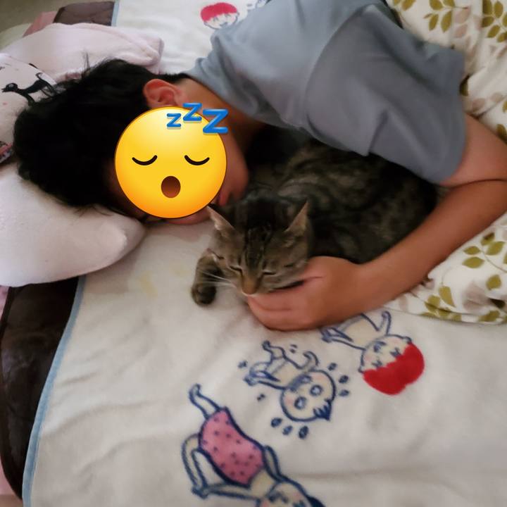 Be4f11e2 f249 4d05 b47e 1c5ee8576b0a 1721366287344