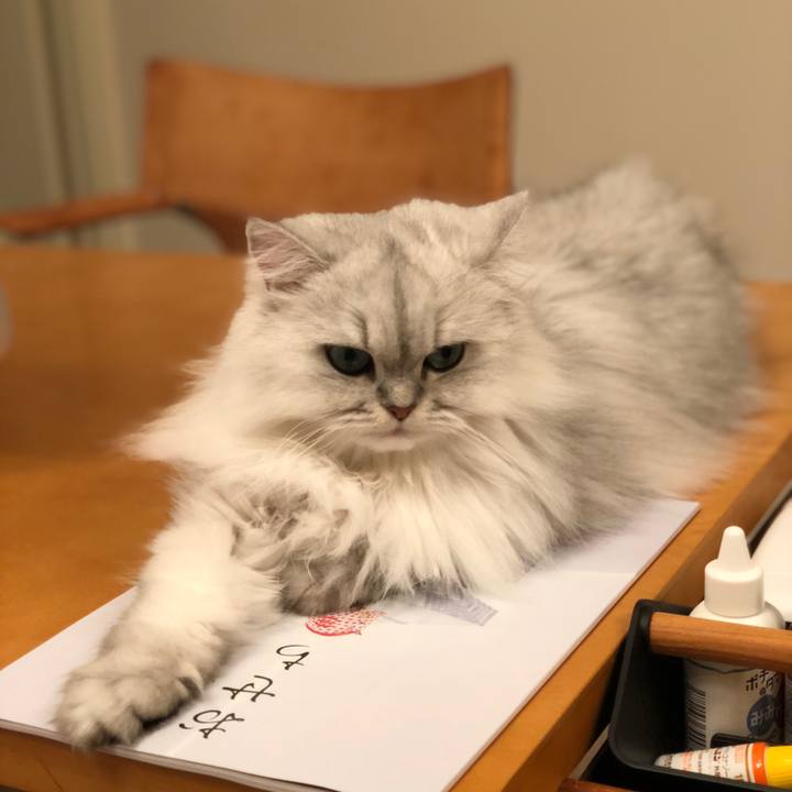 Be4f3e95 1c67 455a 841d fabc119c4827 1541239379479