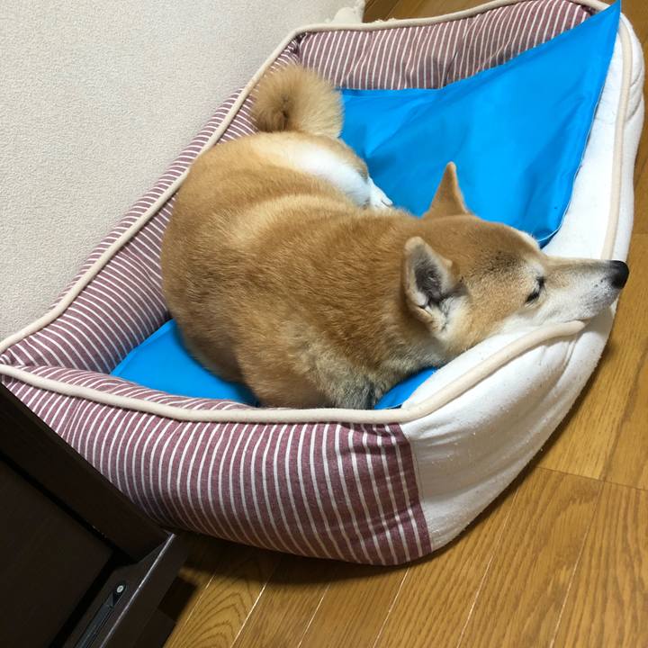 Be4f6057 7dbd 4a10 b4ec f7c67f49afbc 1600092388809