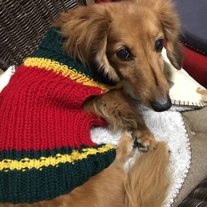 Be4f786f ee3b 477f 8815 ee98dd706f66 1613654389841