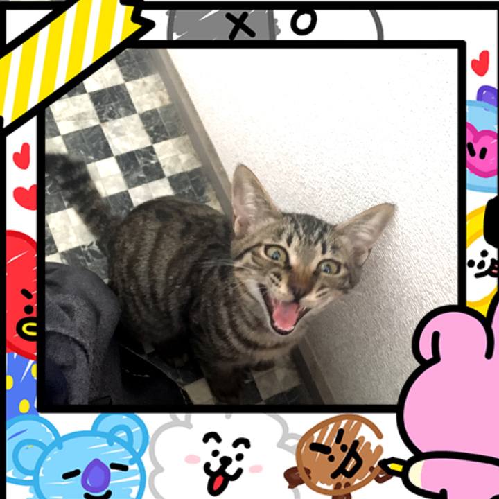 Be4f8fdc 1b8f 41a6 bd39 d0ace986f974 1538368480185