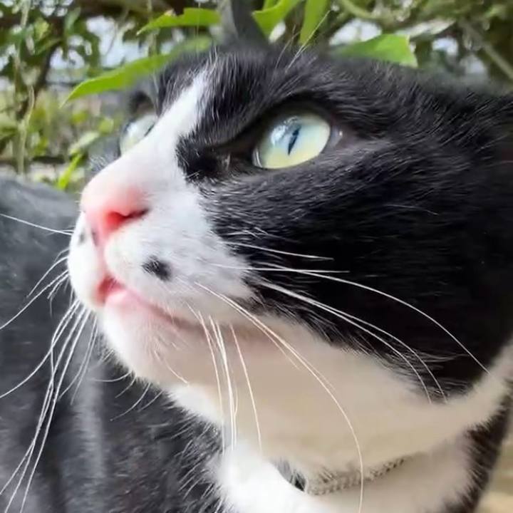 Be4f93c1 9a95 471e 98a3 a5447f9609f7 1741404596693