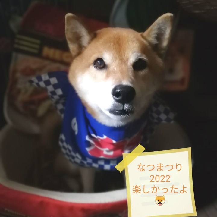 Be4fd400 53ac 43ac 86c7 66d6513b4a6f 1661686187683