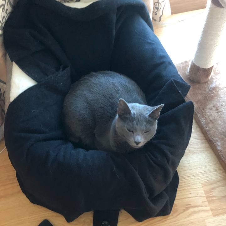 Be4fd7f5 d05c 4a22 b525 683a4d73f25a 1576374285448