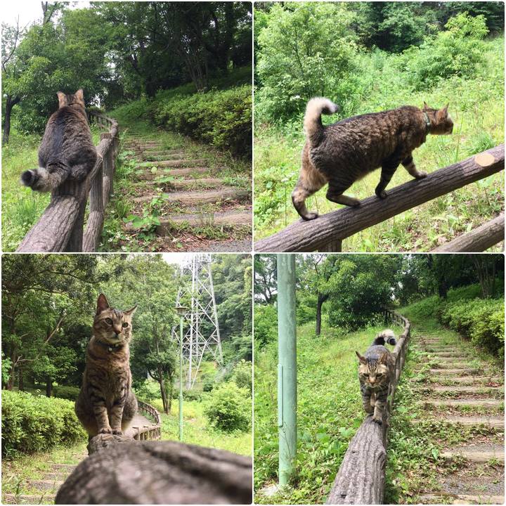 Be50e7d2 24f9 4aef 973b b8cbaca8e1fd 1527328978797