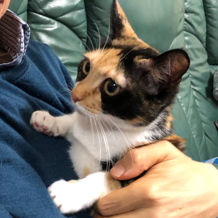 Be50ebe1 7416 4506 8fe5 ced09b0318fc 1544017515450