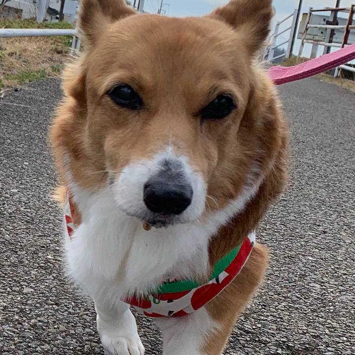 Be50f4f8 8695 49a9 b571 c3cc8eb1fc61 1704257156375