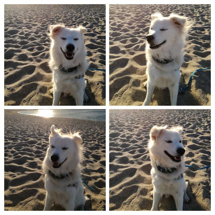 Be50fd5b d1e4 4255 8155 0089c228e8db 1542156993787