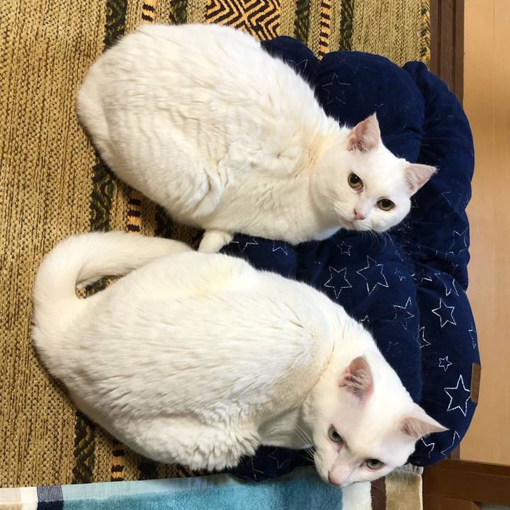 Be5105fe 46b2 4d8f 926a 45b19e9c0ab7 1581162327366