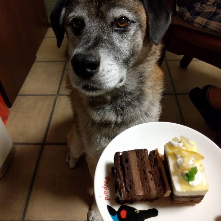 Be511769 1cf3 4e12 bd59 f7934667a3b9 1535815858109