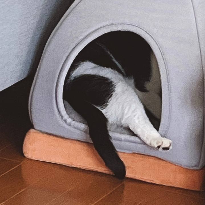 Be5117eb 3db5 4c07 a810 4c25a7e93a52 1654420355250