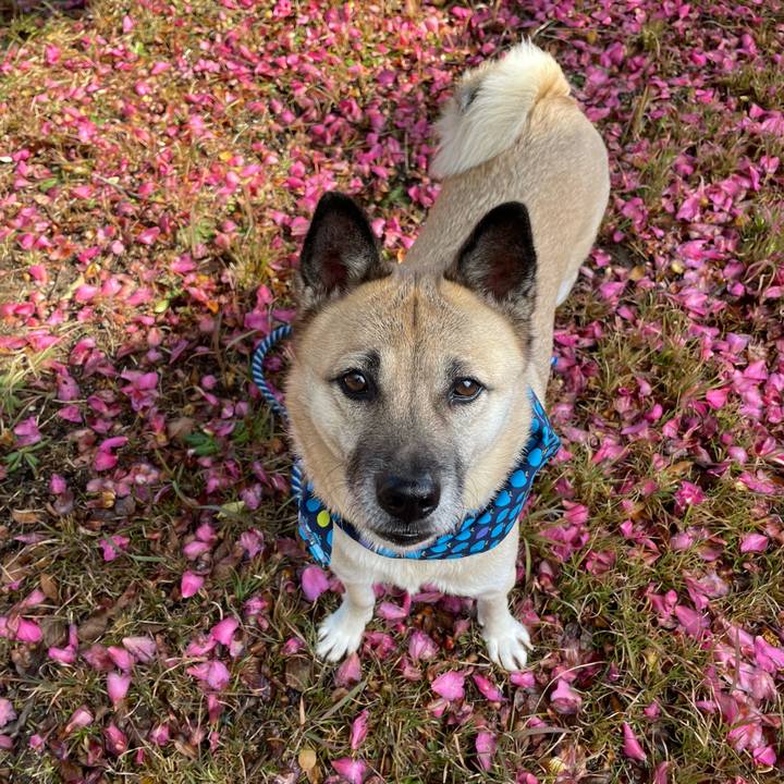 Be5187a9 ab90 48fe 9087 3418a9db2dc8 1671876911665