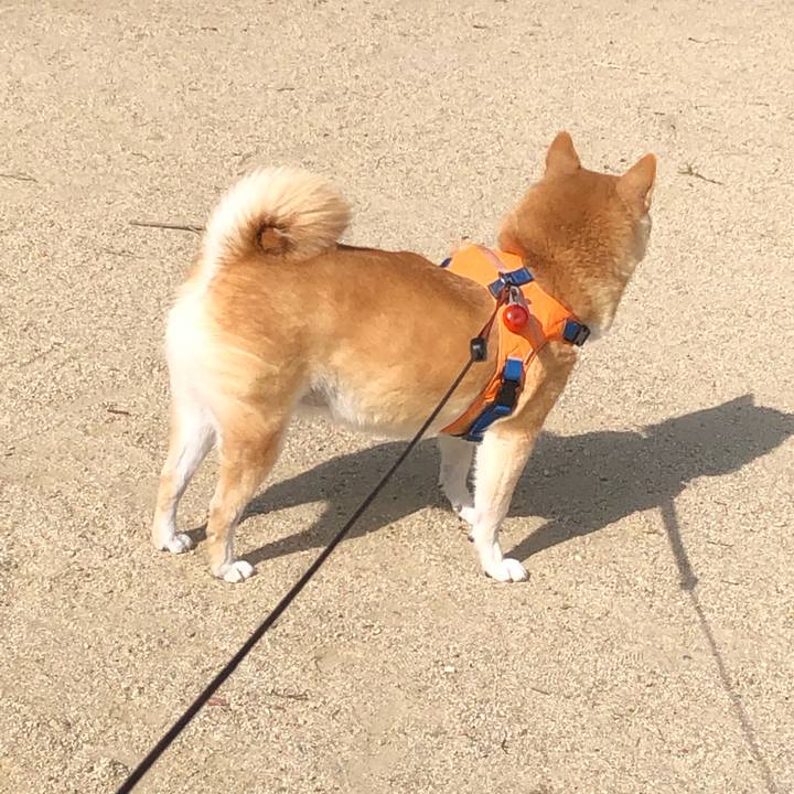 Be51b01b 88f9 4ec4 9a2e 0de6036b7b72 1603924935881