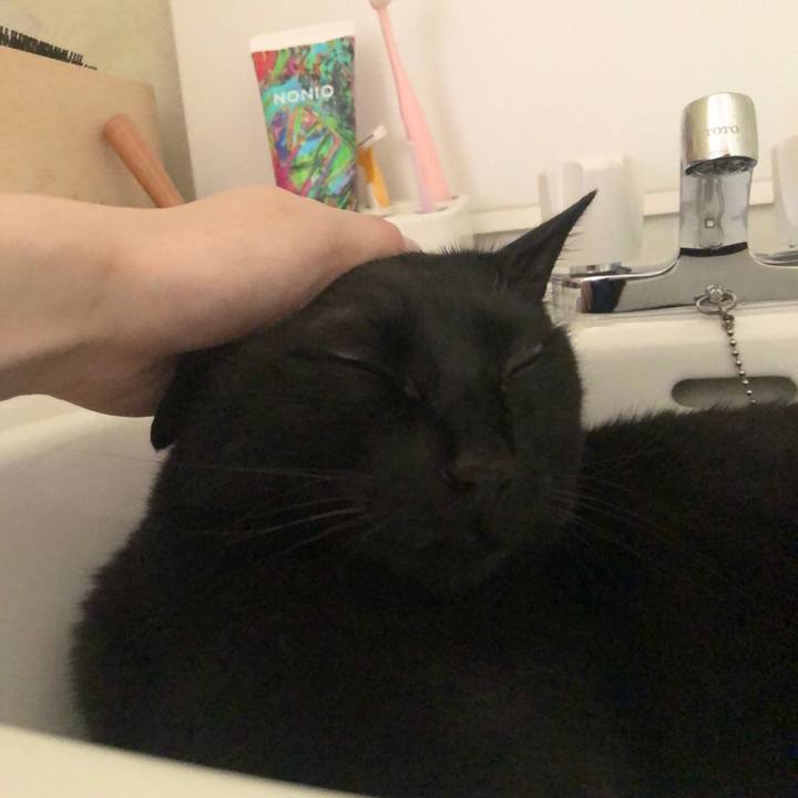 Be51d60c 23cf 4e1b a90f f4f612cb242b 1592785703234