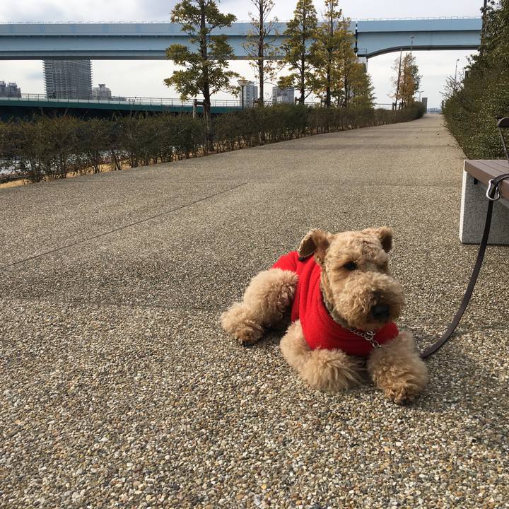 Be52155c 547d 40ec b4b3 7ed63053fe75 1550132532563