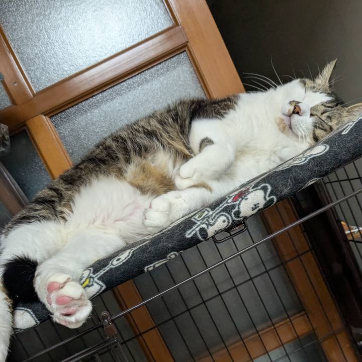 Be5227ed f379 4f26 acbc 70836ac49c56 1767700289479