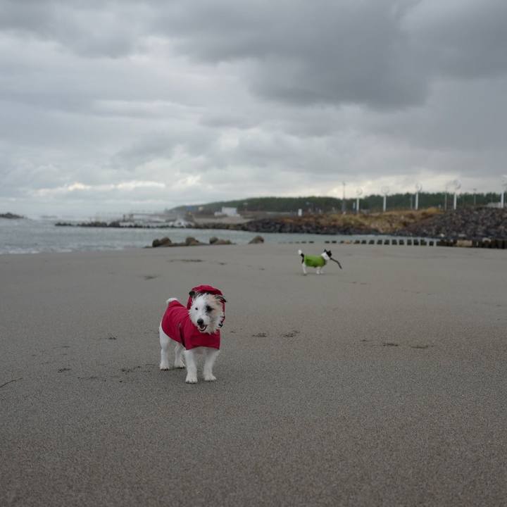 Be525176 8311 4ca8 a2f9 1c2ba3ee7fdb 1509423716260