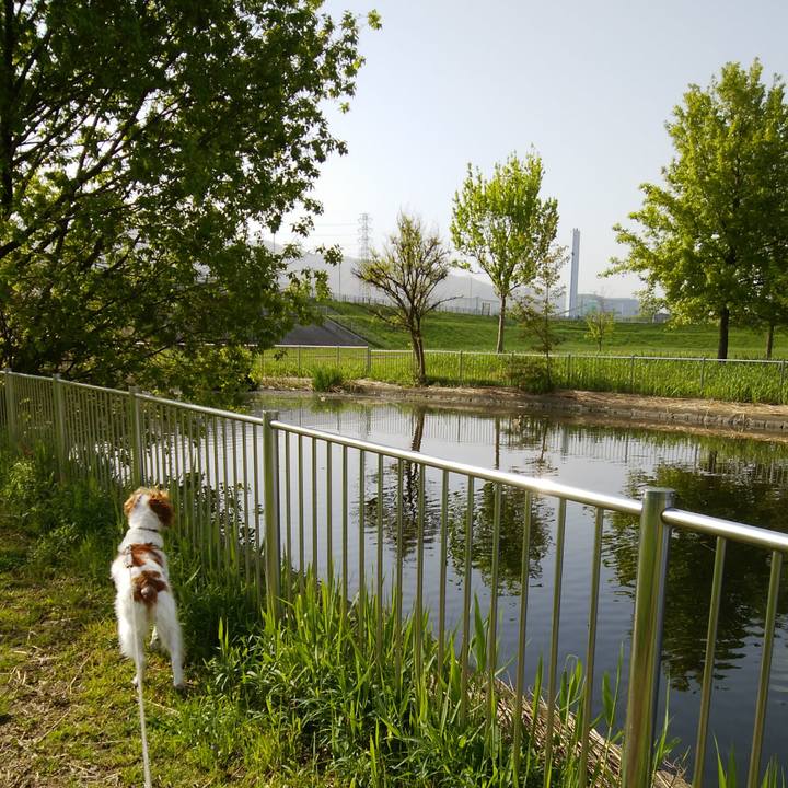 Be52521b 1ac5 42d1 a9e8 badac3052db7 1523838123521