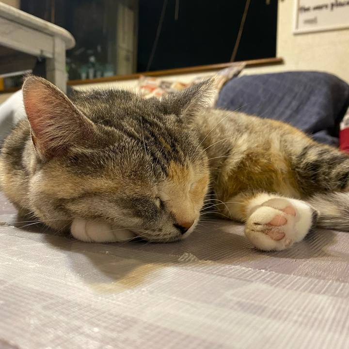 Be5275ae c8f4 4fa4 bcc9 aab0c88d6be8 1624196730920